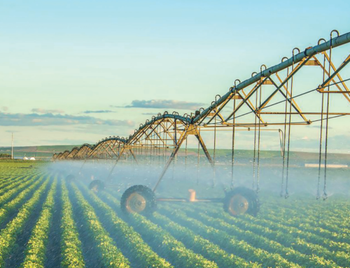 Le phosphate et l&rsquo;OCP : Le Maroc au cœur de la souveraineté alimentaire mondiale