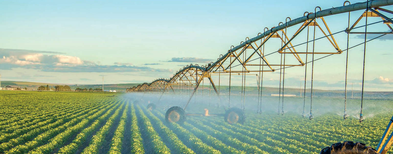 Le phosphate et l'OCP : Le Maroc au cœur de la souveraineté alimentaire mondiale